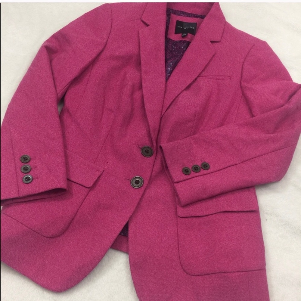 The Limited Pink Woven Blazer size L